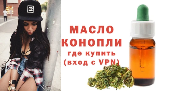 крисы Каменка