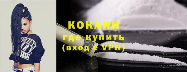 крисы Каменка