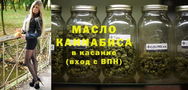 крисы Каменка