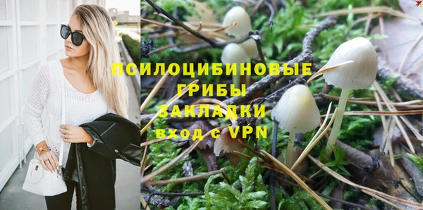 соль курить ск Каменногорск