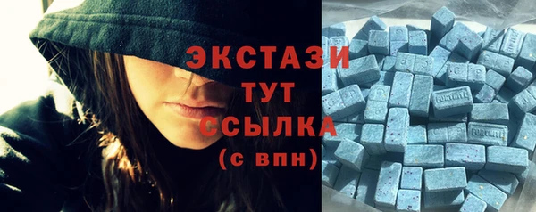 крисы Каменка