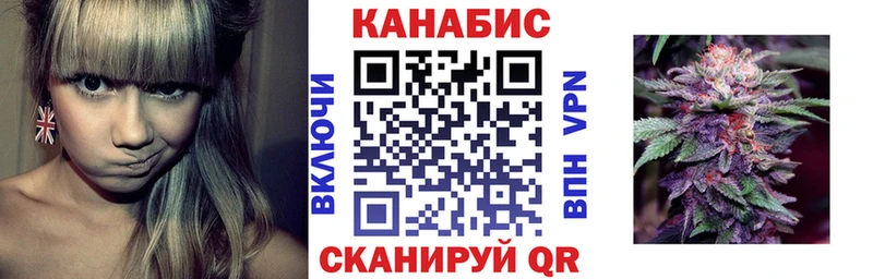 Конопля сатива Удомля